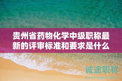 贵州省药物化学中级职称最新的评审标准和要求是什么？有哪些变化？