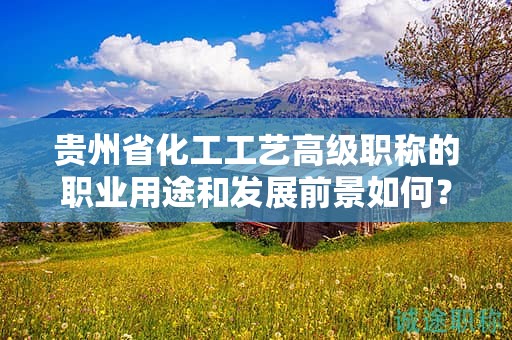 贵州省化工工艺高级职称的职业用途和发展前景如何？