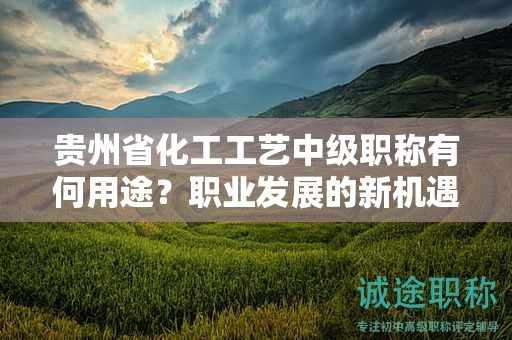 贵州省化工工艺中级职称有何用途？职业发展的新机遇在哪里？
