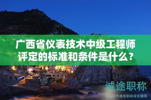 广西省仪表技术中级工程师评定的标准和条件是什么？