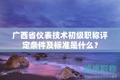 广西省仪表技术初级职称评定条件及标准是什么？