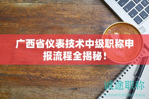 广西省仪表技术中级职称申报流程全揭秘！