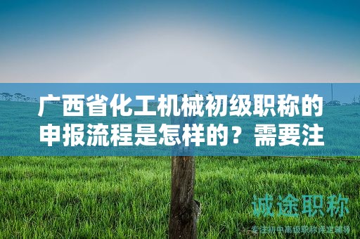 广西省化工机械初级职称的申报流程是怎样的？需要注意哪些步骤？