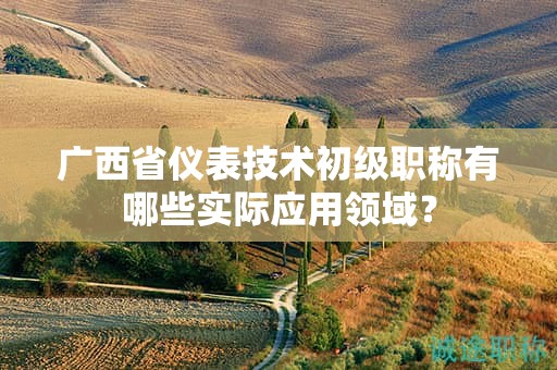 广西省仪表技术初级职称有哪些实际应用领域？