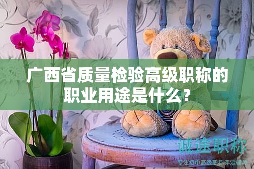 广西省质量检验高级职称的职业用途是什么？