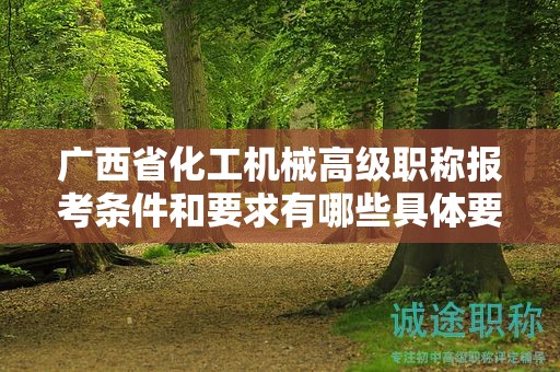 广西省化工机械高级职称报考条件和要求有哪些具体要求？如何满足条件？