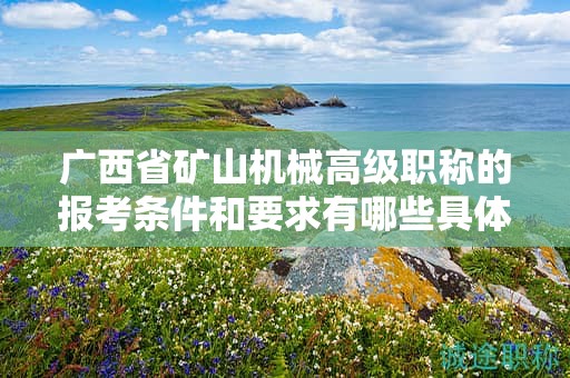 广西省矿山机械高级职称的报考条件和要求有哪些具体要素？如何满足条件？