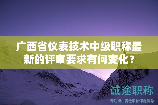 广西省仪表技术中级职称最新的评审要求有何变化？