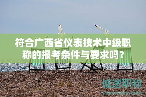 符合广西省仪表技术中级职称的报考条件与要求吗？