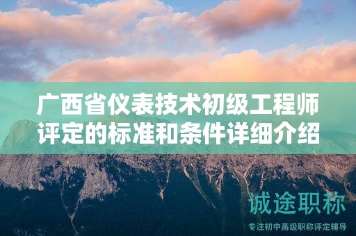 广西省仪表技术初级工程师评定的标准和条件详细介绍！