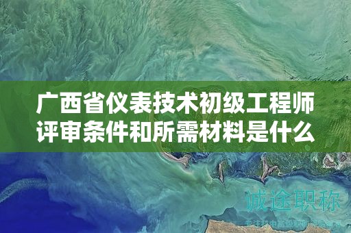 广西省仪表技术初级工程师评审条件和所需材料是什么？