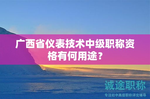 广西省仪表技术中级职称资格有何用途？