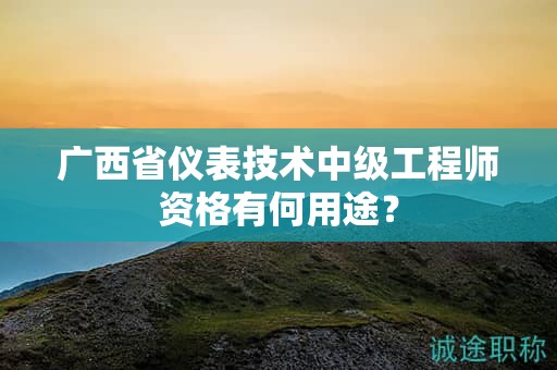 广西省仪表技术中级工程师资格有何用途？