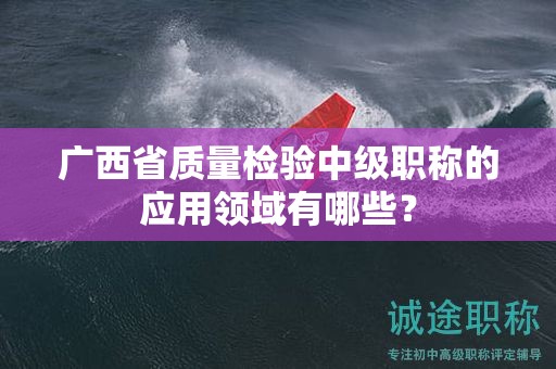广西省质量检验中级职称的应用领域有哪些？