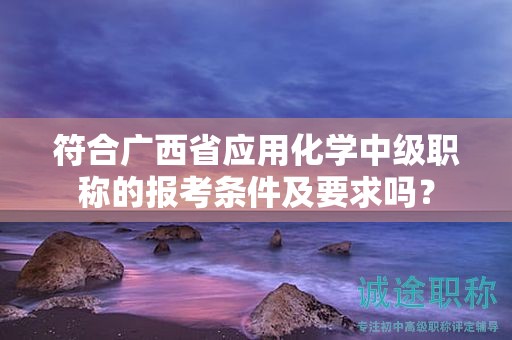 符合广西省应用化学中级职称的报考条件及要求吗？