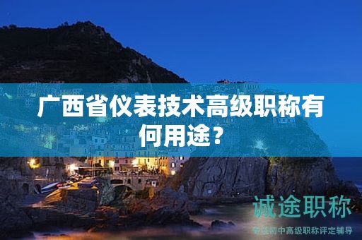 广西省仪表技术高级职称有何用途？