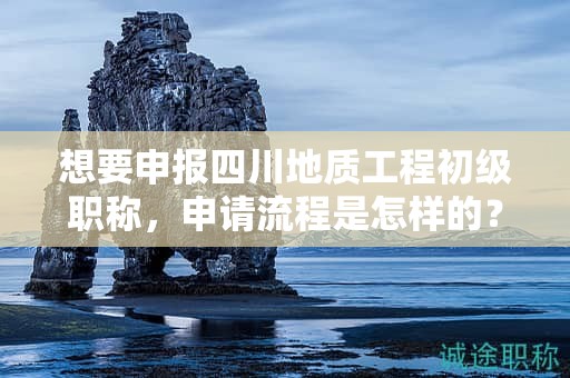 想要申报四川地质工程初级职称，申请流程是怎样的？需要哪些步骤？