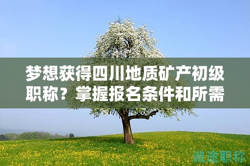 梦想获得四川地质矿产初级职称？掌握报名条件和所需材料