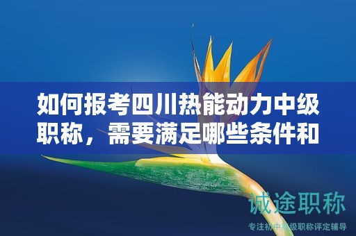 如何报考四川热能动力中级职称，需要满足哪些条件和要求？