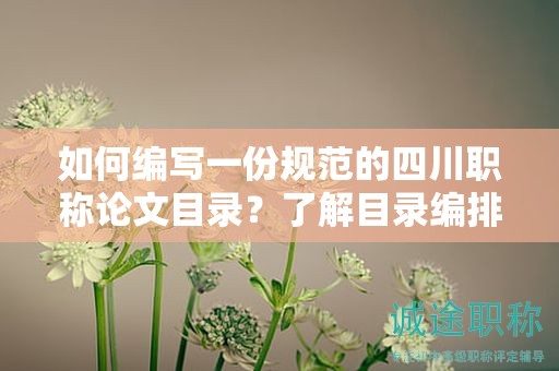 如何编写一份规范的四川职称论文目录？了解目录编排的要点