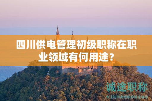 四川供电管理初级职称在职业领域有何用途？