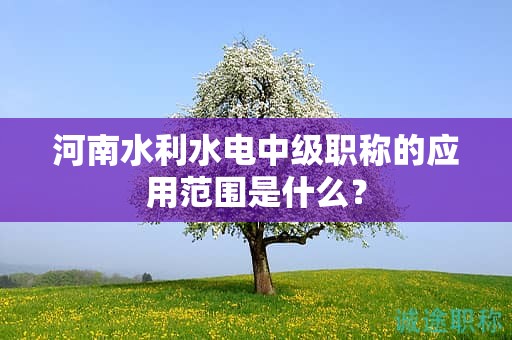 河南水利水电中级职称的应用范围是什么？