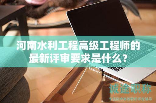 河南水利工程高级工程师的最新评审要求是什么？