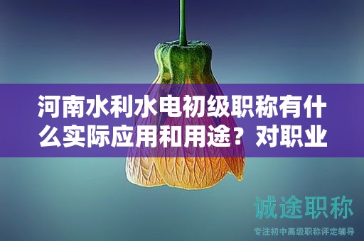 河南水利水电初级职称有什么实际应用和用途？对职业发展有何帮助？
