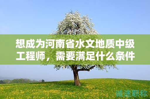 想成为河南省水文地质中级工程师，需要满足什么条件？