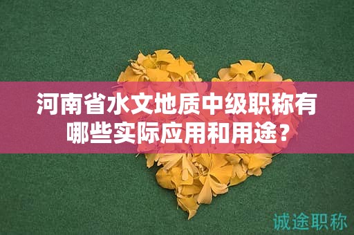 河南省水文地质中级职称有哪些实际应用和用途？