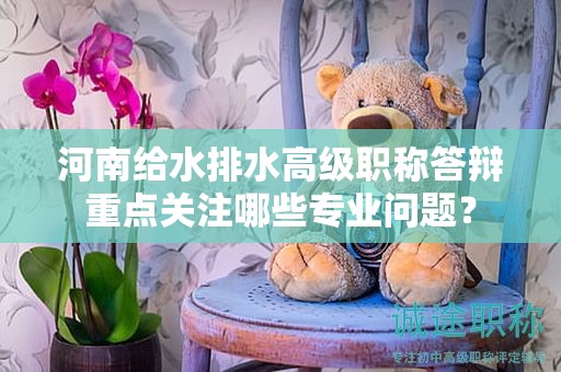 河南给水排水高级职称答辩重点关注哪些专业问题？