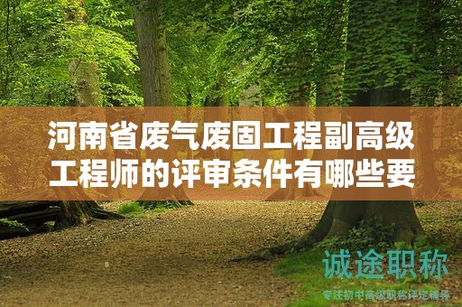 河南省废气废固工程副高级工程师的评审条件有哪些要求？