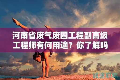 河南省废气废固工程副高级工程师有何用途？你了解吗？