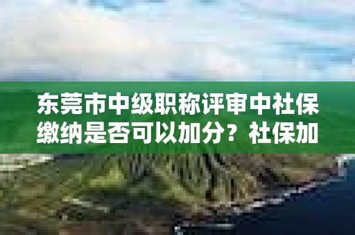东莞市中级职称评审中社保缴纳是否可以加分？社保加分规则了解一下？