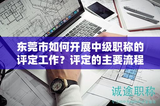 东莞市如何开展中级职称的评定工作？评定的主要流程和要求是什么？