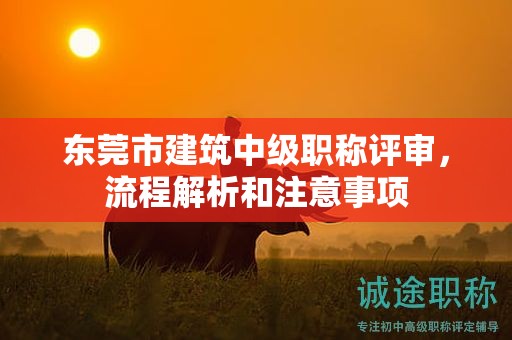 东莞市建筑中级职称评审，流程解析和注意事项