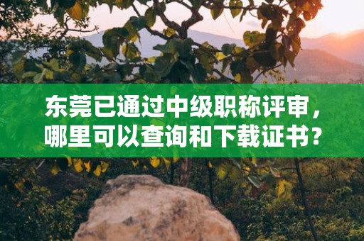 东莞已通过中级职称评审，哪里可以查询和下载证书？有哪些渠道？