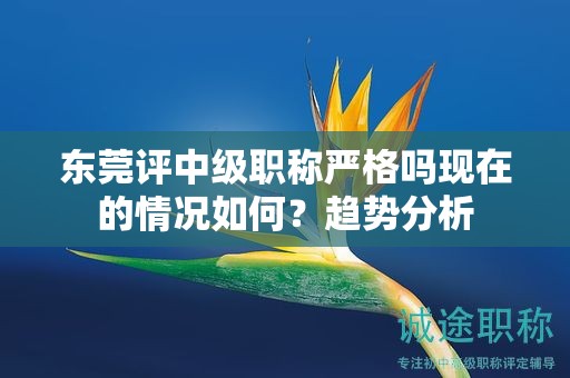 东莞评中级职称严格吗？现在的情况如何？趋势分析