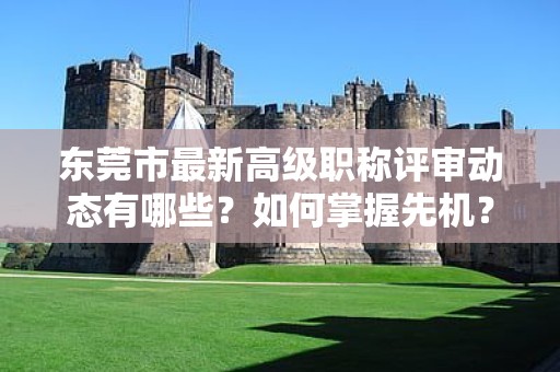 东莞市最新高级职称评审动态有哪些？如何掌握先机？