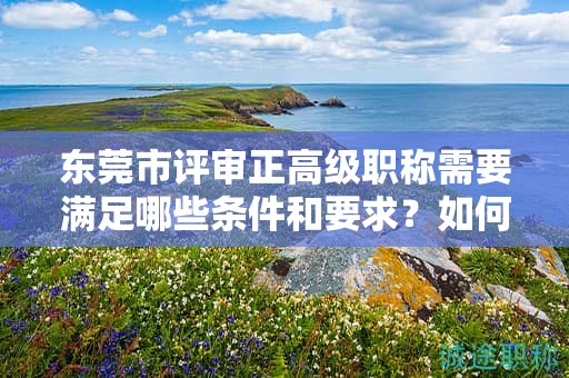 东莞市评审正高级职称需要满足哪些条件和要求？如何备考？
