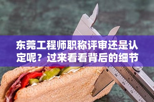 东莞工程师职称评审还是认定呢？过来看看背后的细节和流程