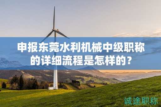 申报东莞水利机械中级职称的详细流程是怎样的？
