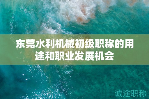 东莞水利机械初级职称的用途和职业发展机会