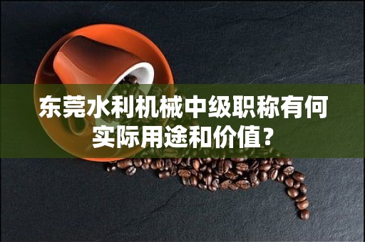 东莞水利机械中级职称有何实际用途和价值？