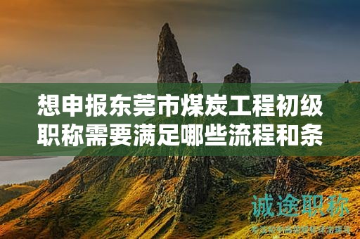 想申报东莞市煤炭工程初级职称需要满足哪些流程和条件要求？
