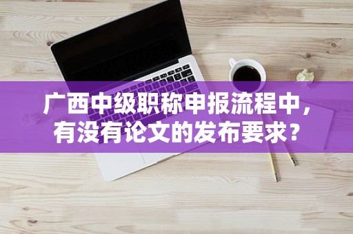 广西中级职称申报流程中，有没有论文的发布要求？