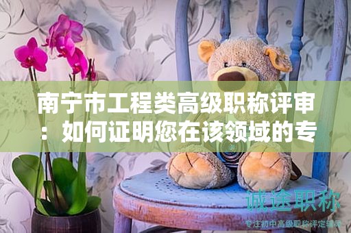 南宁市工程类高级职称评审：如何证明您在该领域的专业能力？