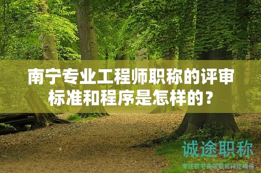 南宁专业工程师职称的评审标准和程序是怎样的？