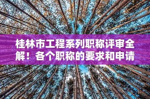 桂林市工程系列职称评审全解！各个职称的要求和申请方式来来啦
