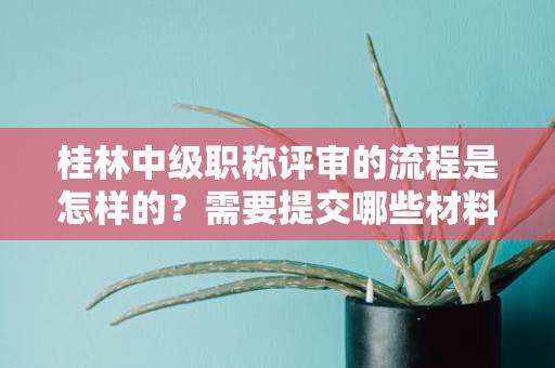 桂林中级职称评审的流程是怎样的？需要提交哪些材料？